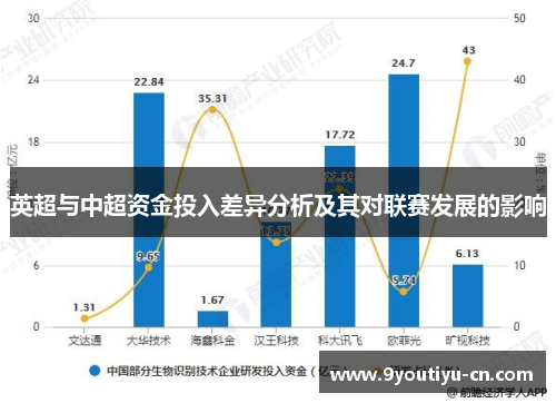 英超与中超资金投入差异分析及其对联赛发展的影响 英超与中超资金投入差异分析及其对联赛发展的影响