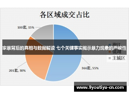 家暴背后的真相与数据解读 七个关键事实揭示暴力现象的严峻性