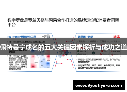佩特曼宁成名的五大关键因素探析与成功之道 佩特曼宁成名的五大关键因素探析与成功之道