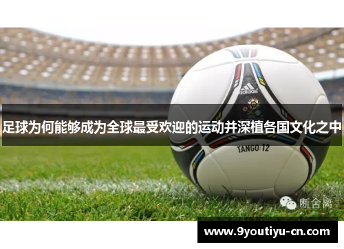 足球为何能够成为全球最受欢迎的运动并深植各国文化之中