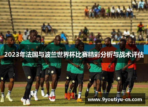 2023年法国与波兰世界杯比赛精彩分析与战术评估 2023年法国与波兰世界杯比赛精彩分析与战术评估