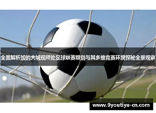 全面解析加的夫城现所处足球联赛级别与其多维竞赛环境探秘全景观察